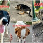 InCollage 20241007 183417958