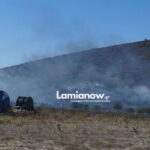 screenshot 20241015 152911 gallery5385622829819980546