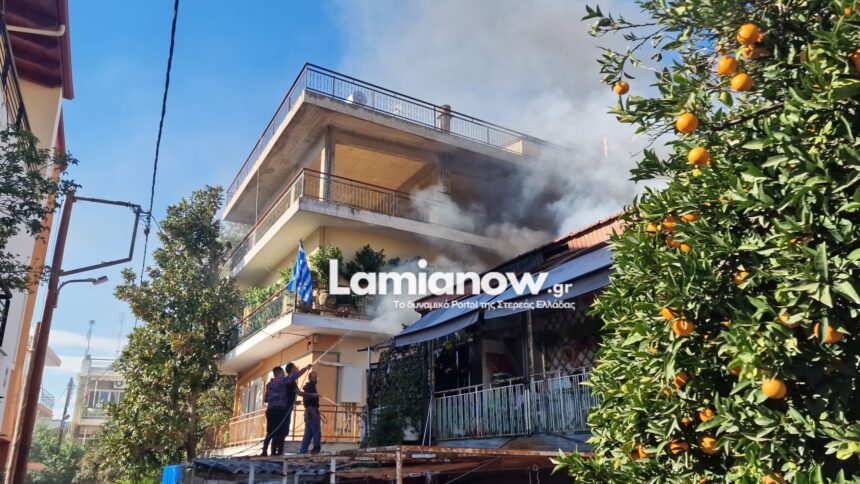 20241119 140052 scaled