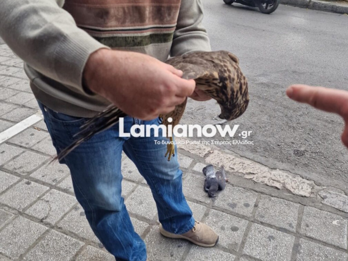 https://lamianow.gr/wp-content/uploads/2024/03/Iamia-Now-01-1-2-1-scaled.jpg