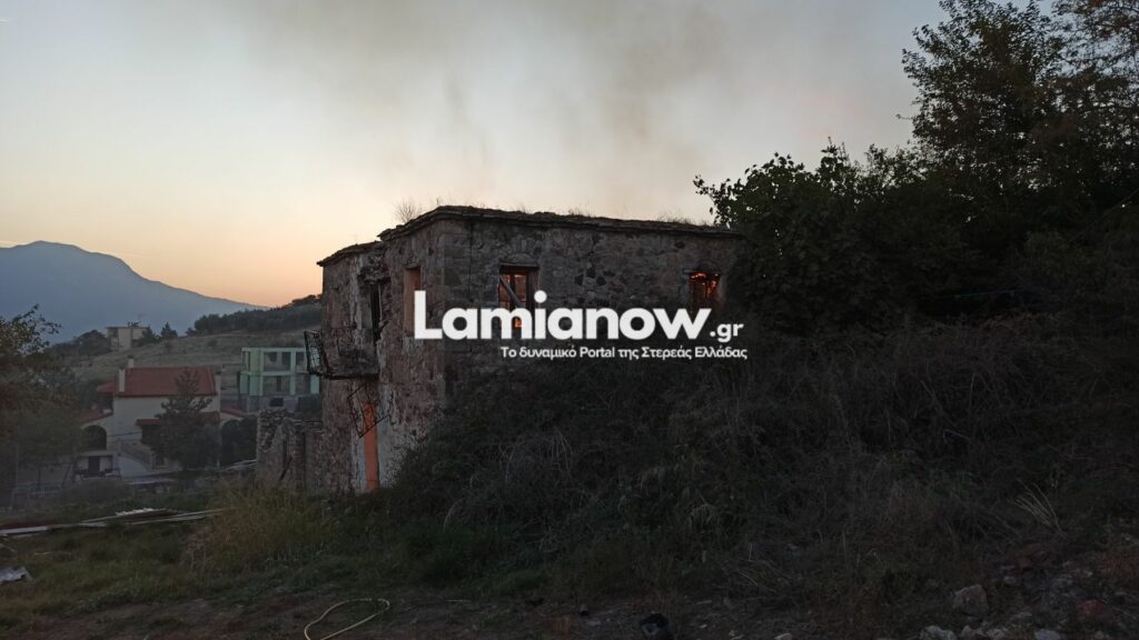 https://lamianow.gr/wp-content/uploads/2024/03/Iamia-Now-01-1-2-1-scaled.jpg