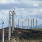 24 anemogen2 1 scaled