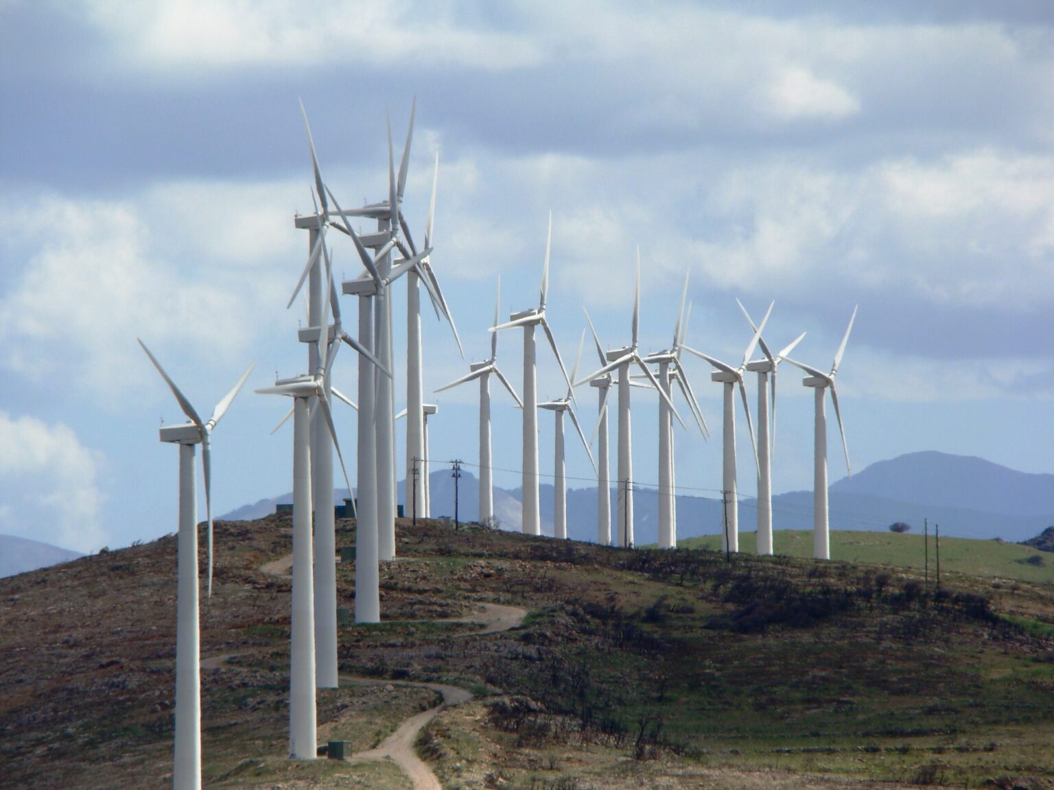 24 anemogen2 1 scaled