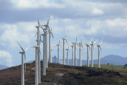 24 anemogen2 1 scaled