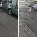 Asulliptos 1621742 peristeri epideixias