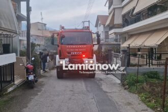 https://lamianow.gr/wp-content/uploads/2024/03/Iamia-Now-01-1-2-1-scaled.jpg