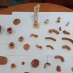 arxaia anbtikeimena arxaiokalilos 1200x675 1