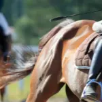 ipasia ekpaideytis.jpg