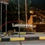 VideoCapture 20250206 234716 scaled