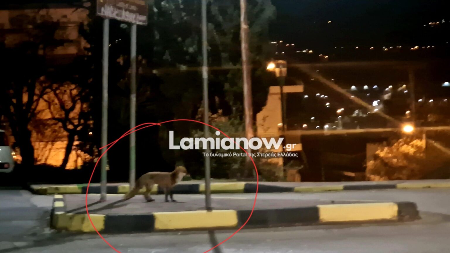 VideoCapture 20250206 234716 scaled