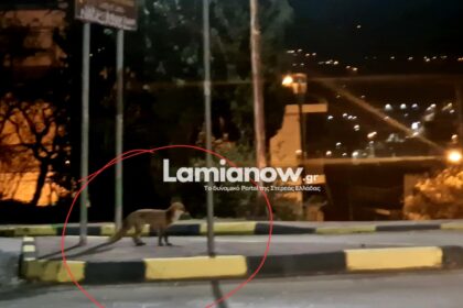 VideoCapture 20250206 234716 scaled