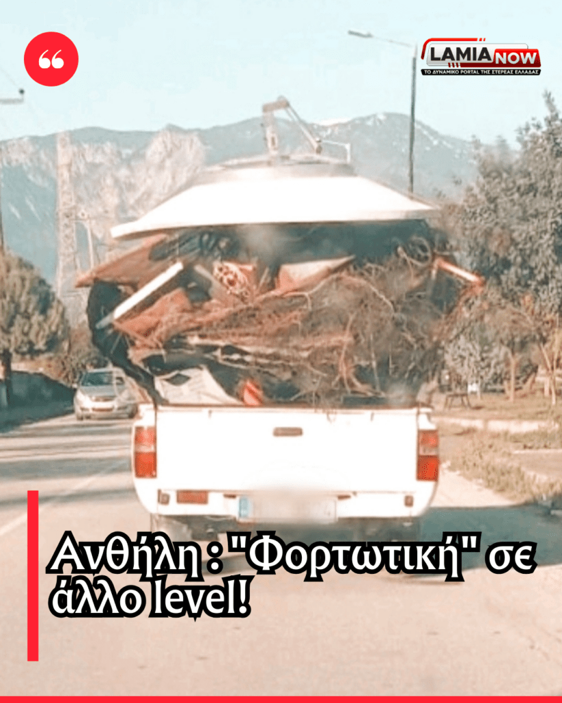 Φθιώτιδα Ανεξέλεγκτη Εξάπλωση Λύκων – έφτασαν ως τον Προφήτη Ηλία της Λαμί 20250310 103932 0000
