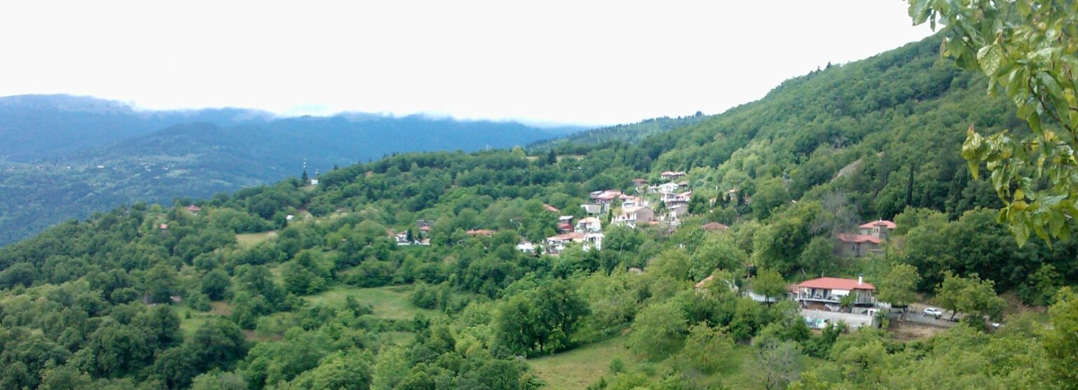 46271427 1954387111320808 6287849597565927424 n scaled