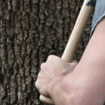 6d21746b 3a048f5c ropalo