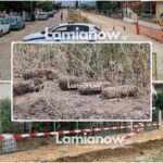 InCollage 20250826 193231589 1