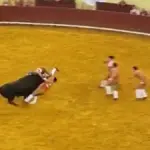bullfighter 26082025 1200x675 1