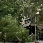 kozani ptosi dentrou 1200x675 1