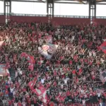 olyfans scaled 1 scaled