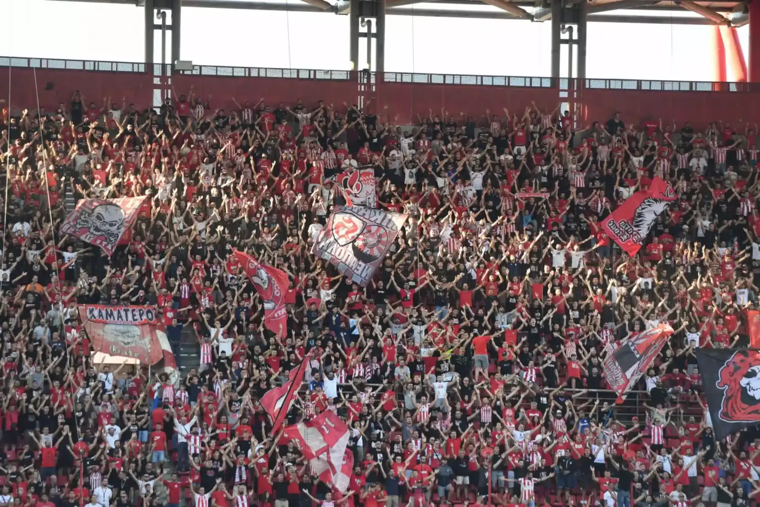 olyfans scaled 1 scaled