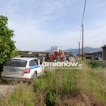 roma anthili 1536x1156 1