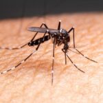 202308311002565812 1200x675 1