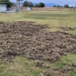 FB IMG 1759070127398