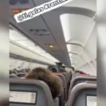 aeroplano pilotos.PNG