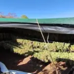 speira12exo 1200x675 1