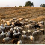 tempi 4 1 1024x577 1