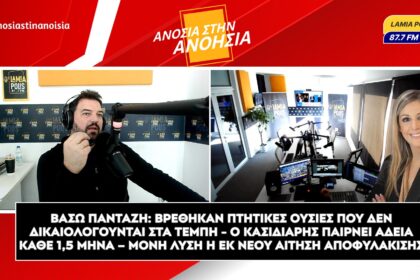 Αντίγραφο του lamianowgr 1 1