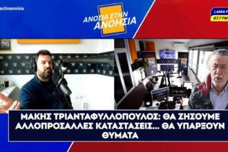 Αντίγραφο του lamianowgr 1