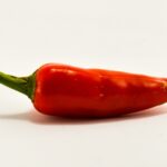 202507051921589042 1