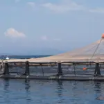 2849123 6885686038315187 52760787998648328070144721782876 92870684307246