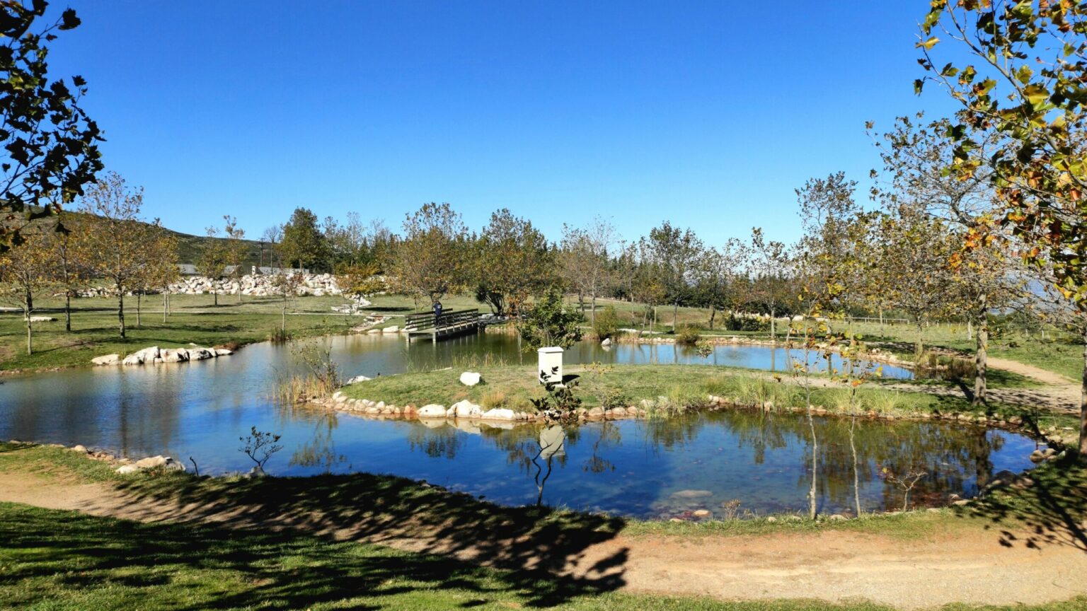 IMG 20231119 1207571 scaled