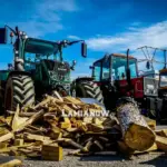 agrotes anthili 85 1024x576 1