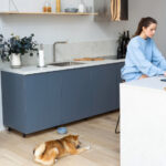 i elliniki katoikia stin psifiaki epochi otan to spiti ginetai grafeio kai scholeio