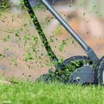 lawn mower 938555 25 10 1200x764 1