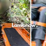 palaiokerasia diasosi