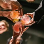 shutterstock 2439489525 1200x800 1