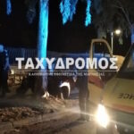 taxydromos tr