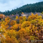 FB IMG 1763761399013