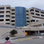 adonis lamia gn lamias