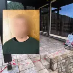 araxova dolofonia dhmhtrhs lalas