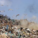 d2ca3395a7394b221aa5f6bdf1b83752 SF0500000009RIQ 1