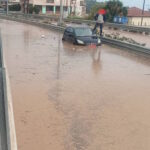 epiros plimmira 768x742 1