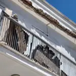 mpalkoni argos 1200x675 1