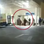 nekros xalkida 1200x675 1