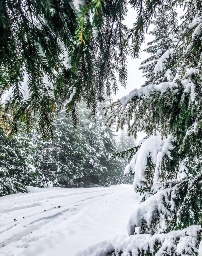 ΧΙΟΝΙΣΜΕΝΟ ΤΟΠΙΟ