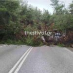 23a4993e 668b 4259 ba88 dfc0e8c5301c1