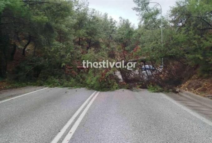 23a4993e 668b 4259 ba88 dfc0e8c5301c1